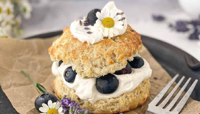 Blueberry Shortcake